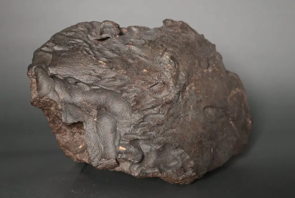 Météorite orientée H4-6 Chondrite