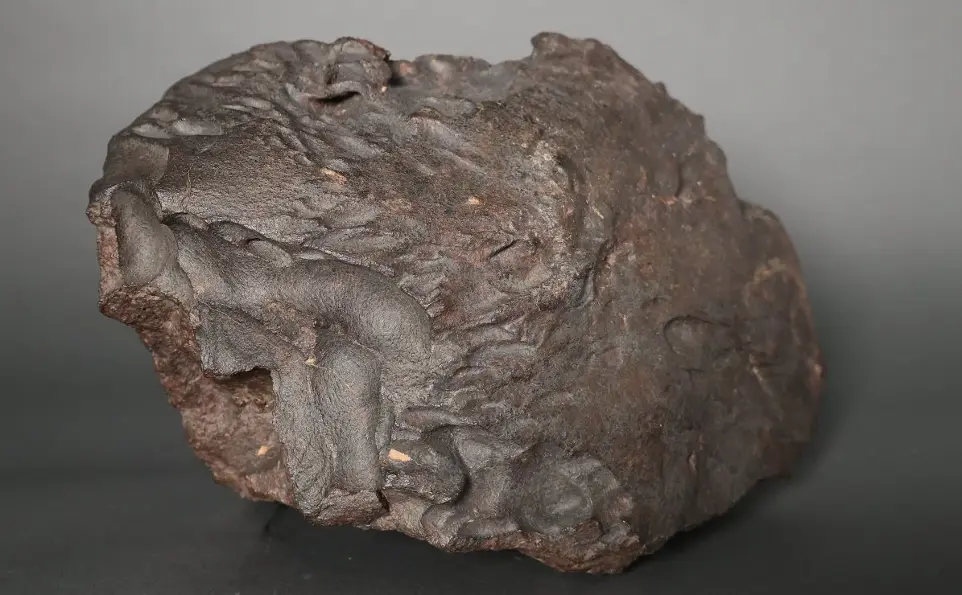 Météorite Chondrite orientée H4-6